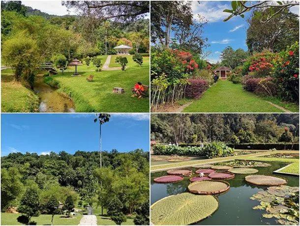 Penang Waterfall Botanic Garden Bungalow Vila Georgetown